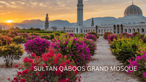 Muscat: Half-Day City Tour