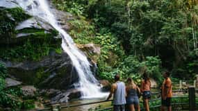Rio: Tijuca National Park Guided Hike with Hotel Transfers