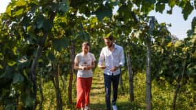 Batumi to Kutaisi, Wine & Dine
