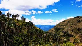 Sucre: Tour de 1 dia ao Parque Nacional El Palmar e Aldeias Yampara