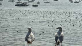 Mumbai: A Symphony of Seven Islands - Get Local in One Day