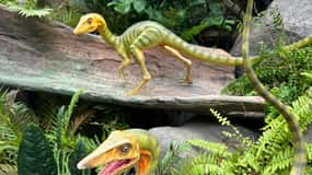 Singapur: tour de la ciudad y Jurassic World en Gardens by the Bay