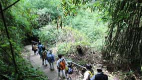 Retour à la nature Trekking et randonnée dans le parc national de Khao Yai