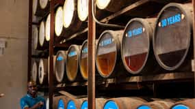 Montego Bay/Negril: Visita ao Appleton Estate Rum Express