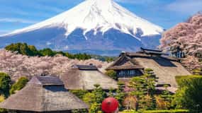 From Tokyo/Yokohama: Mt.Fuji & Hakone Private Day Tour