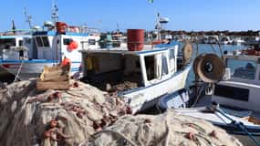 Fishing in Selinunte and lunch with cooking of the catch