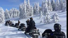 Bucharest: Carpathian Snowmobile Adventure Tour