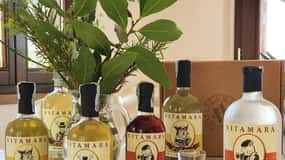 Cannara: degustazione di liquori alle erbe con abbinamento al cibo