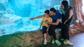バルセロナ：乗り降り自由バス＆水族館ツアー