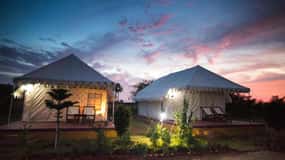 Frenzy Paradise Overnight Thar Desert Camping Tour