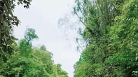 Makassar-Rammang Rammang Cyclisme, bateau et marche