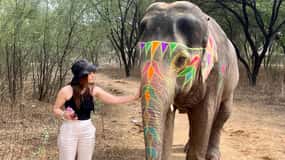 Elefun Best Elephant Sanctuary in Jaipur
