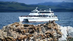 Tour di mezza giornata attraverso il Canale di Beagle fino all'Isola di Lobos