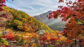 Seoul: Hwadam Forest & Namhansanseong & Korean Folk Village