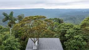 Quito: 3-Day Amazon Experience with Spa & Indigenous Visit