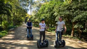 City tour de Sevilha: 2 horas de tour monumental de Segway