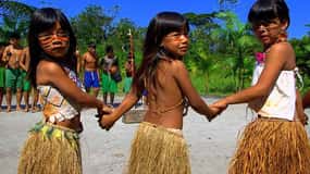 Santos Shore Excursion: Rain Forest and Indian Reserve