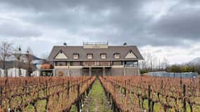 Alyan Family Wines | Obilazak u suton