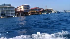 Bocas del Toro: Cayo Zapatilla, Bahía de los Delfines, Cayo Coral