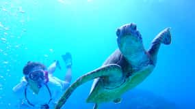 Okinawa : Kerama Whole Day Snorkeling Tour From Chatan
