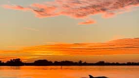Anna Maria Island and Bradenton: Sunset Kayak Dolphin Tour