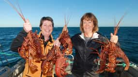 Geraldton: Eco Abrolhos Cruises Lobster Pot Pull
