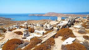 Delos and Mykonos One Day Cruise from Naxos