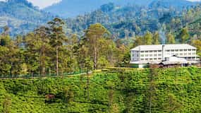 Bentota/Kalutara/Hikkaduwa : Excursion à Ella Highlands