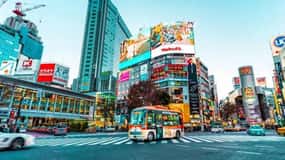 Tokio:Luxusní soukromá prohlídka s anglicky mluvícím řidičem