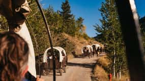 Jackson: Chuck Wagon Cookout and Live Show