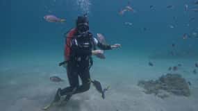 Z Dubaju: Nurkowanie, snorkeling z grillem i transferem