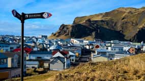 Excursión de un día a las Islas Westman desde Reikiavik