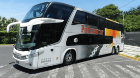 San Salvadorz: Convenient bus transfer from/to Guatemala