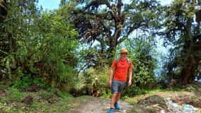 Kathmandu: Shivapuri Day Hike with Lunch