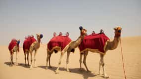 Dubai: Bedouin Camp, Dune Safari, Falcon Show & BBQ Dinner