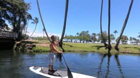 Hilo: tour guidato SUP di Hilo Bay e Coconut Island
