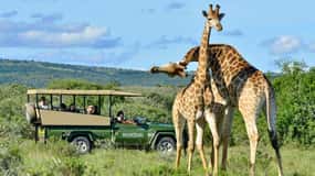 Phezulu Safari Park & Mandela Capture Site Half Day Tour