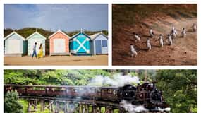 Melbourne: Puffing Billy, Penguin Parade, and Brighton Boxes