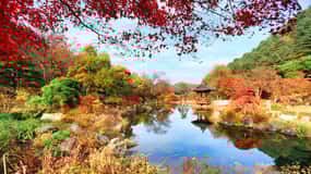 Seoul: Nami Island and Garden of Morning Calm opt Railbike