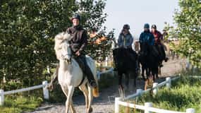 Hveragerdi: il tour a cavallo di Siggi