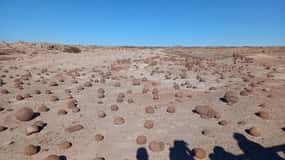 San Juan: Excursão ao Vale da Lua no Parque Ischigualasto