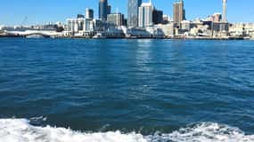Auckland: Waitematā Harbour Cruise mit Live-Kommentar
