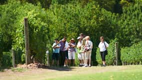Visit and lunch at the Bouza winery