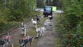 Luleå: Treina a equipa Husky