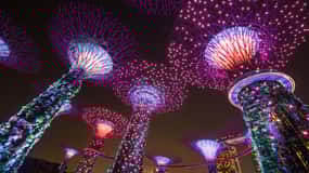 Singapore: Gardens by the Bay Bundle Entry Ticket
