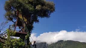 Day Trip to Cotopaxi & Baños from Quito – All Included