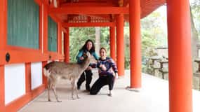 Privat Nara-tur og sake-smaking (avreise fra Kyoto/Nara)