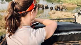 Hurulu Eco Park Habarana Safari com elefantes selvagens