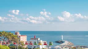 Busan: Max Out City Highlights Full-Day Tour