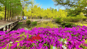 Seoul: Strawberry, Nami Island & Garden Of Morning Calm Tour